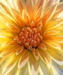 Dahlia Cream Flowers paint by number
