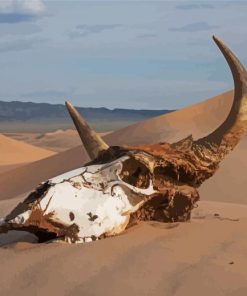 Desert Cow Head Skull paint by number