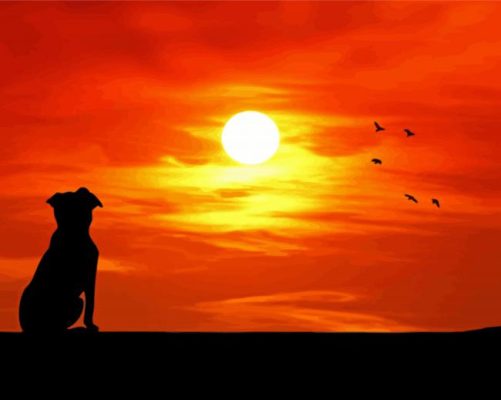 Dog Watching Sunset Silhouette Paint by number