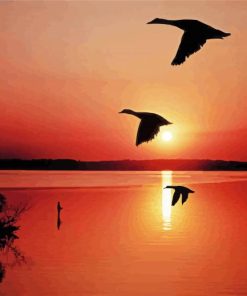 Ducks In Flight Silhouette paint by number