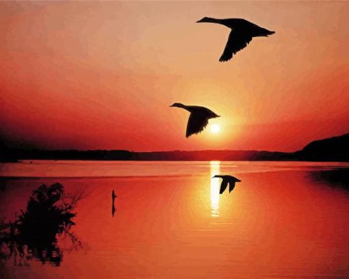 Ducks In Flight Silhouette paint by number