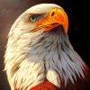 Eagle Head Art paint by number