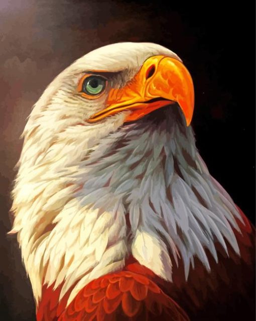 Eagle Head Art paint by number