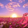 Field Of Flowers With Pink Landscape Paint by number