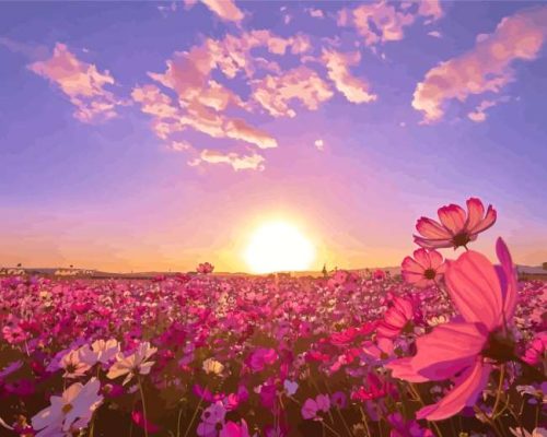 Field Of Flowers With Pink Landscape Paint by number