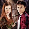 Harry And Ginny Weasley paint by number