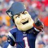 Pat Patriot New England Mascot paint by number
