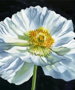 Peaceful White Poppy Art paint by number