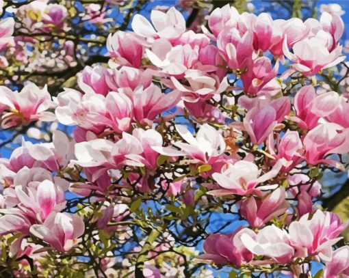 Pink Magnolia Tree paint by number