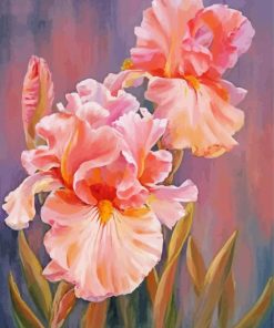 Pink Iris Flowers Art paint by number
