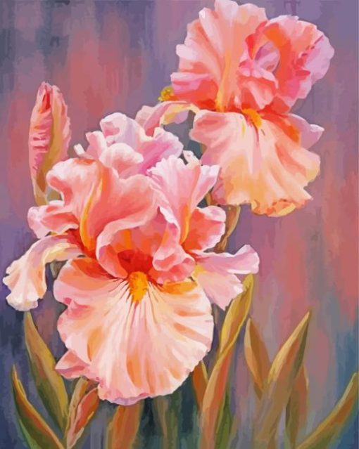 Pink Iris Flowers Art paint by number