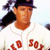 Player Ted Williams paint by number