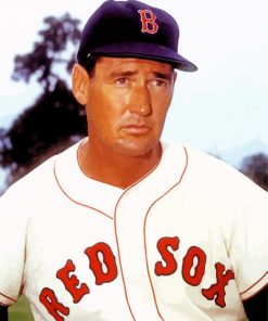 Player Ted Williams paint by number