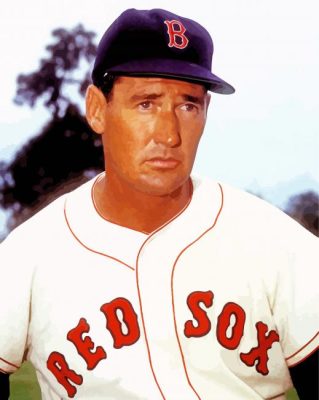 Player Ted Williams paint by number