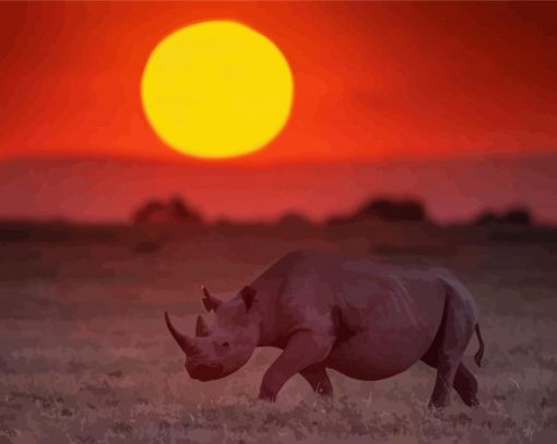 Rhino Sunset View paint by number