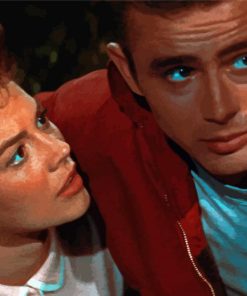 Romantic Rebel Without A Cause paint by number
