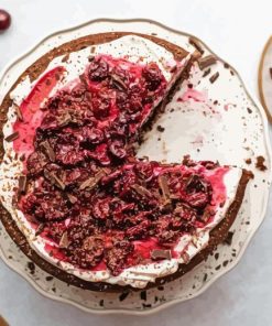 Tasty Cherry Chocolate Cake paint by number