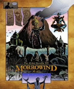The Elder Scrolls Morrowind Poster paint by number