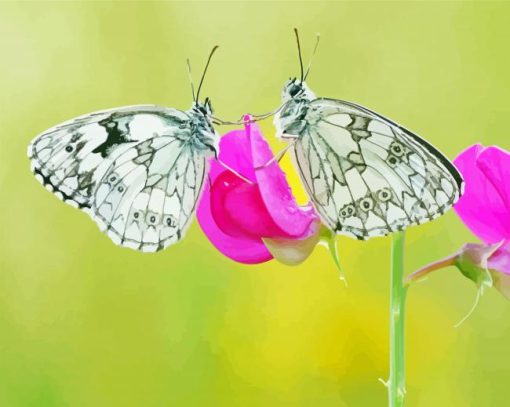 White Couple Butterfly paint by number