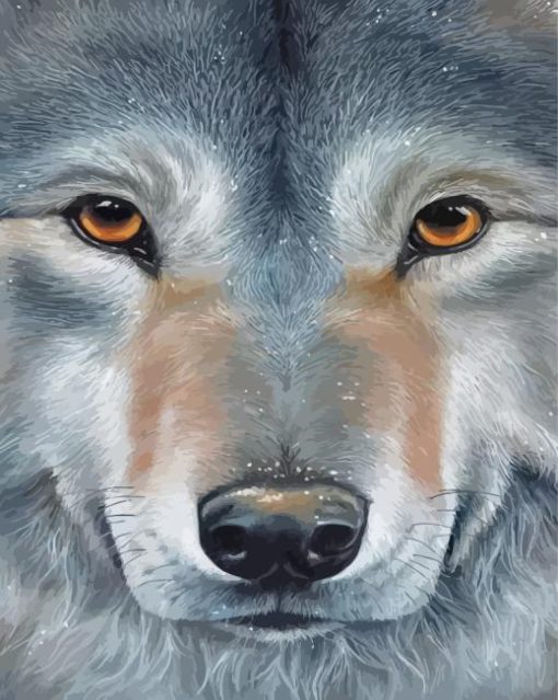 Wolf Face paint by number