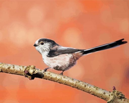 Aesthetic Long Tailed Tits paint by number
