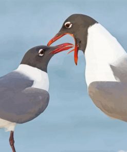 Aesthetic Laughing Gull paint by number