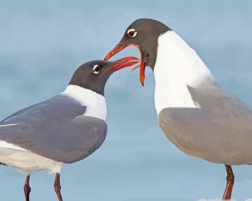 Aesthetic Laughing Gull paint by number