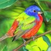 Aesthetic Painted Bunting paint by number