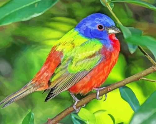 Aesthetic Painted Bunting paint by number