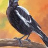 Australian Magpie On A Branch Art paint by number