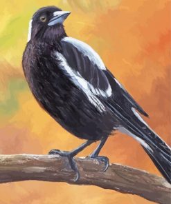 Australian Magpie On A Branch Art paint by number