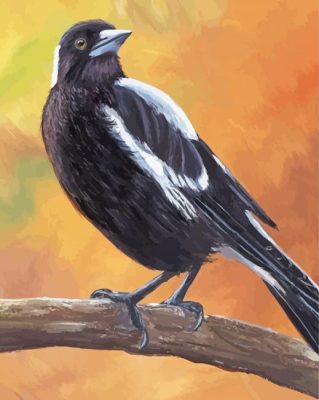 Australian Magpie On A Branch Art paint by number