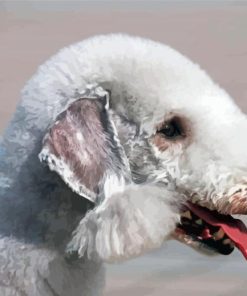 Bedlington Terrier Side Profile paint by number