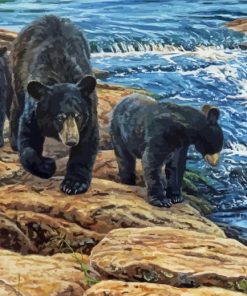 Black Bears Falls paint by number