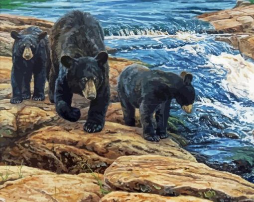 Black Bears Falls paint by number