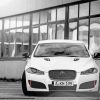 Black And White Jaguar Xf paint by number
