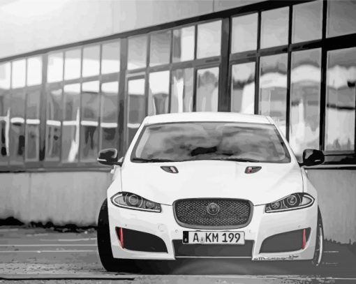 Black And White Jaguar Xf paint by number