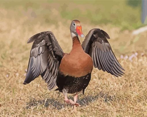 Black Bellied Whistling Duck Bird paint by number