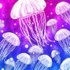Blue Pink Galaxy Jellyfishes paint by number