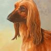 Brown Afghan Hound paint by number