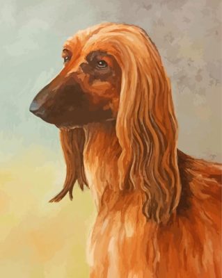 Brown Afghan Hound paint by number