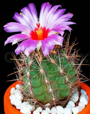 Cactus And Purple Flower paint by number