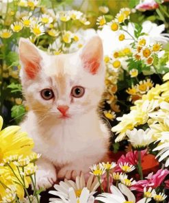 Cute Cat Flowers paint by number