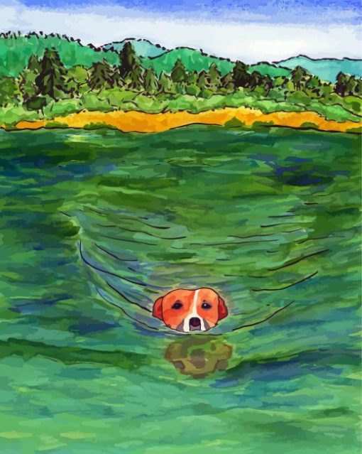 Dog Swimming Art paint by number