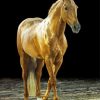 Golden Mare Horse Animal paint by number