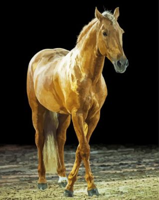 Golden Mare Horse Animal paint by number