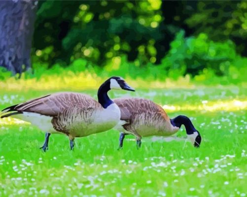 Geese In The Garden paint by number