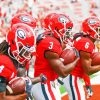 Georgia Bulldogs Football Team paint by number