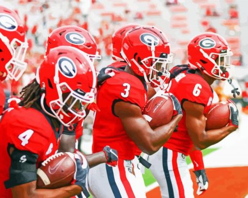 Georgia Bulldogs Football Team paint by number