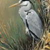 Grey Heron Art paint by number